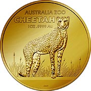 2021 Cheetah