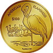 Flamingo Virgin Islands