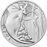Känguru Silbermünzen