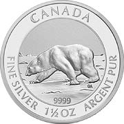 Polarbär Kanada