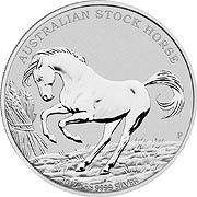 Stock Horse