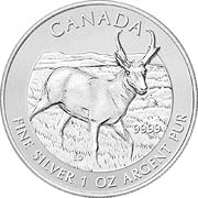 Wildlife Kanada Silbermünzen