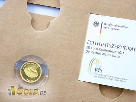 Goldbuche mit Zertifikat, Detail
