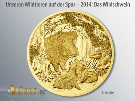 Wildtiere Österreich in Gold 2014: Das Wildschwein (Bildseite)