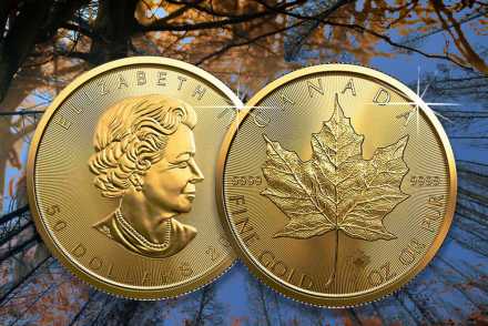 Maple Leaf 2022 Bullionmünzen in Gold: Jetzt hier vergleichen!