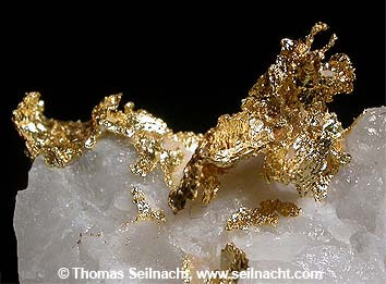 Kristallisiertes Gold aus Kalifornien