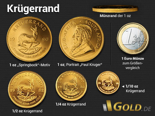 Krügerrand Goldmünze in 1 oz, 1/2 oz, 1/4 oz, 1/10 oz im Vergleich zu einer 1 Euro Umlaufmünze