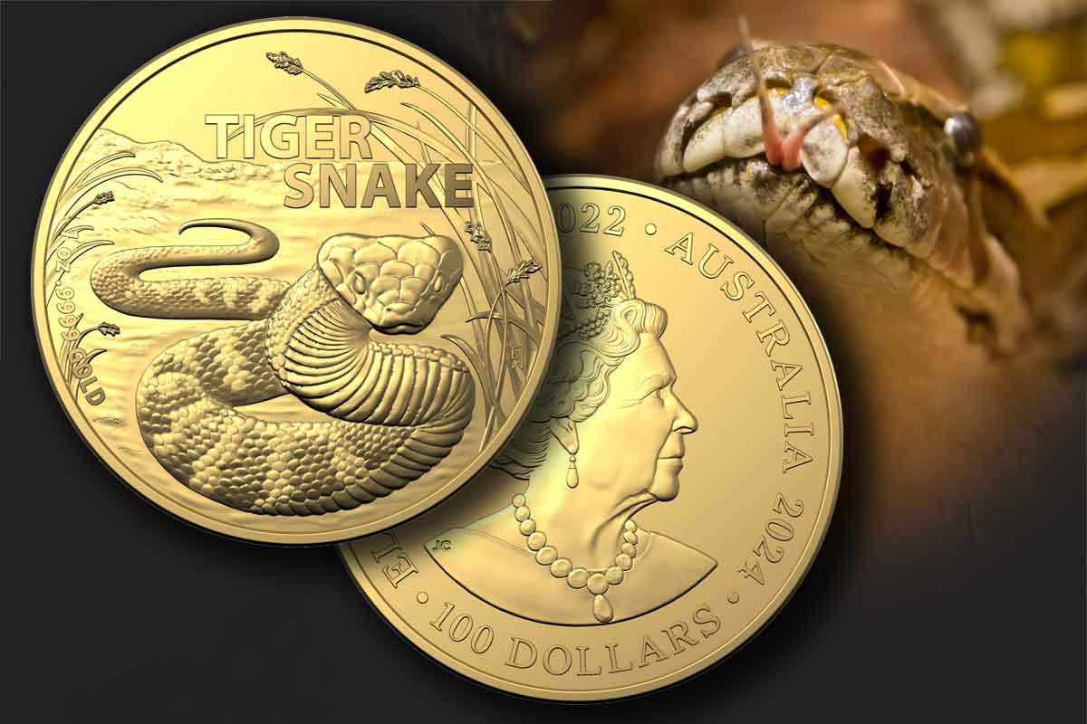 Australia’s Most Dangerous Silber Tiger Snake 2024: Jetzt neu!