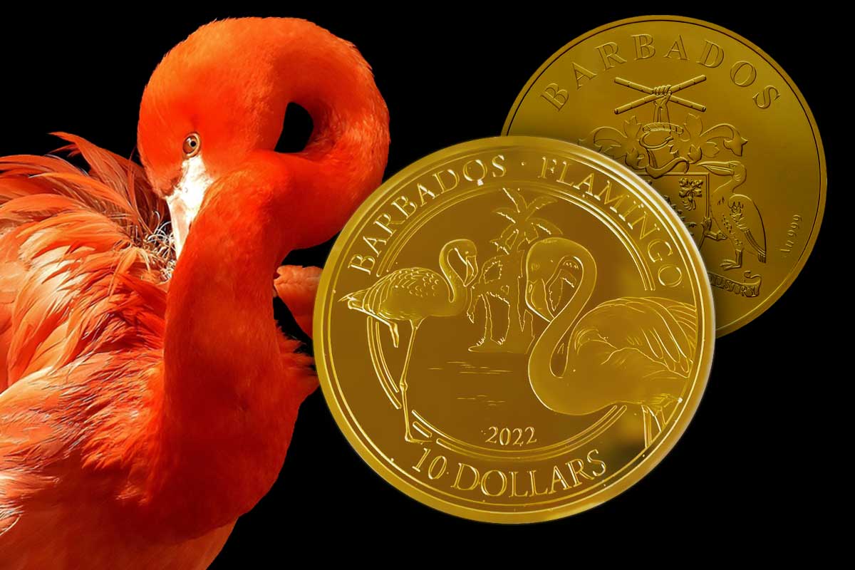 Barbados Flamingo Gold 2022: Jetzt neue Ausgabe in stilvollem Etui erhältlich!