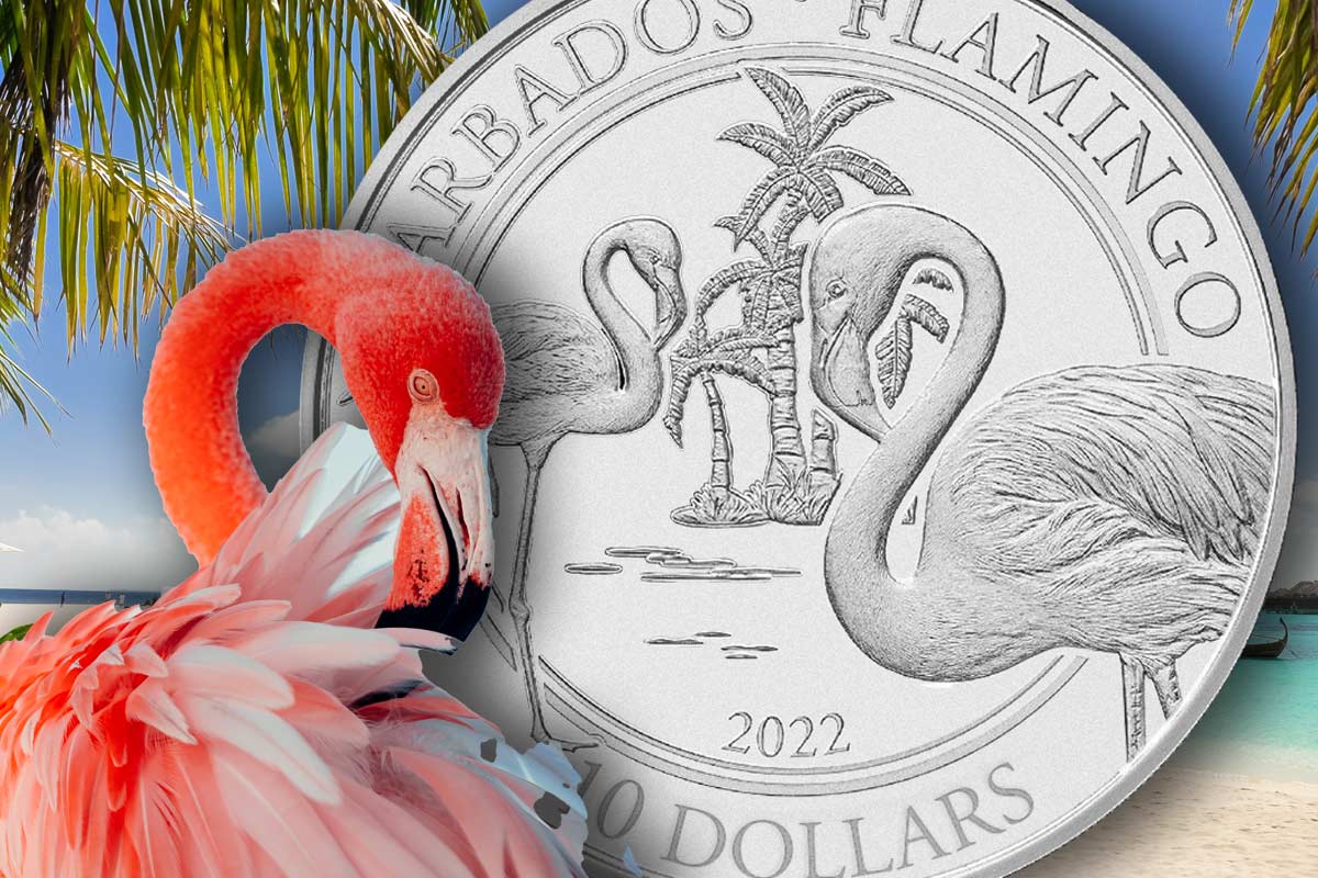 Barbados Flamingo Platin 2022 – streng limitierte Ausgabe!