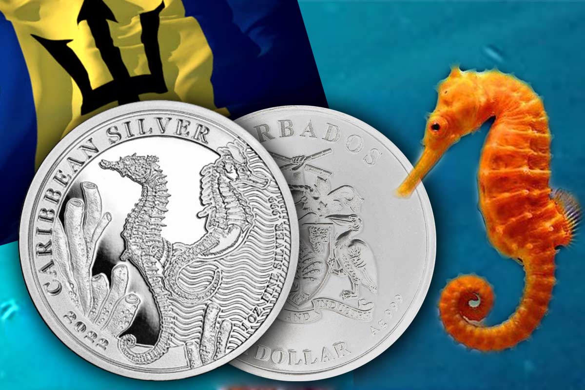Barbados Seepferdchen Silber 2022: Hier neuen Jahrgang vergleichen!