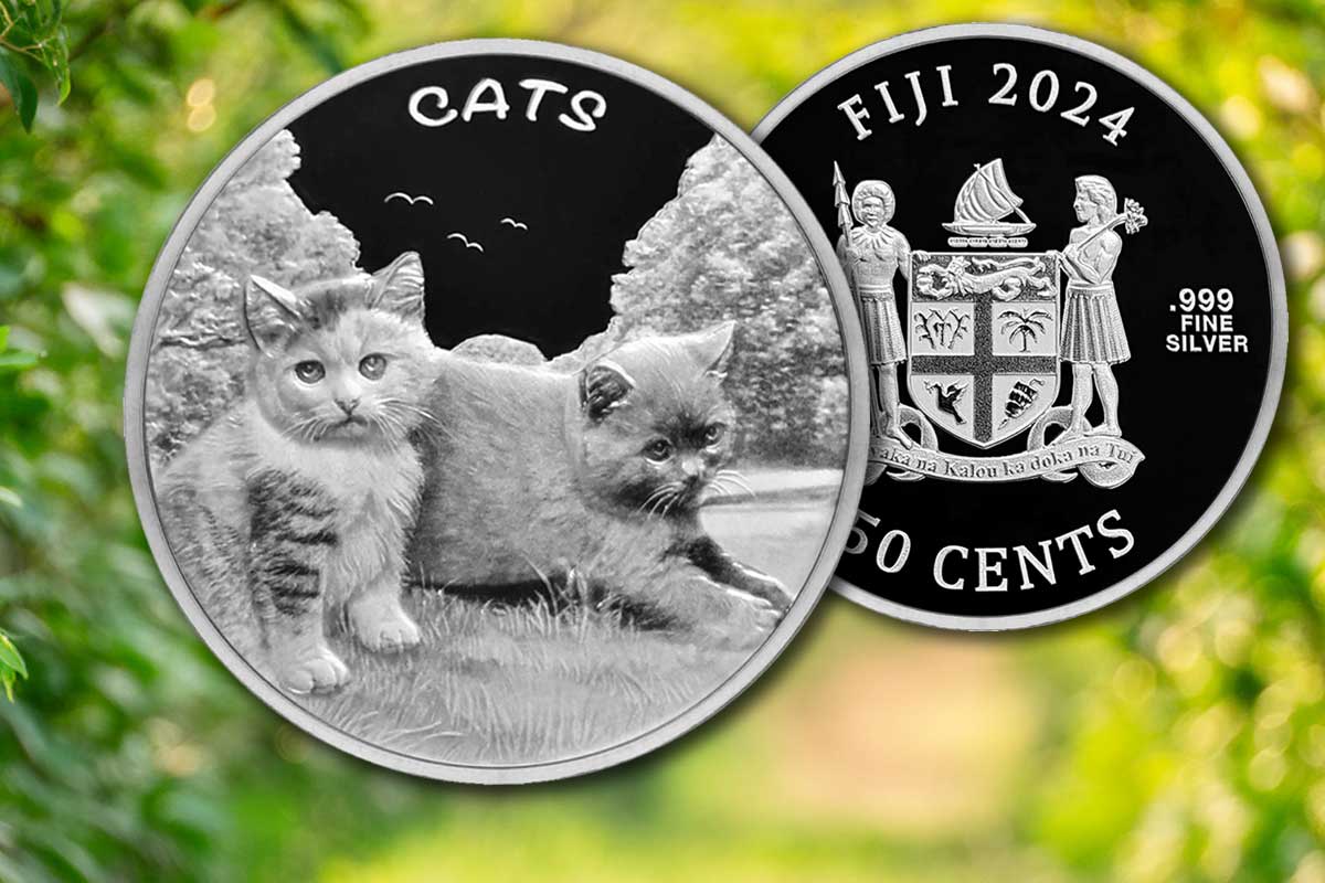 Fiji Cats 2024 Silber – ein Muss für alle Katzenfans!