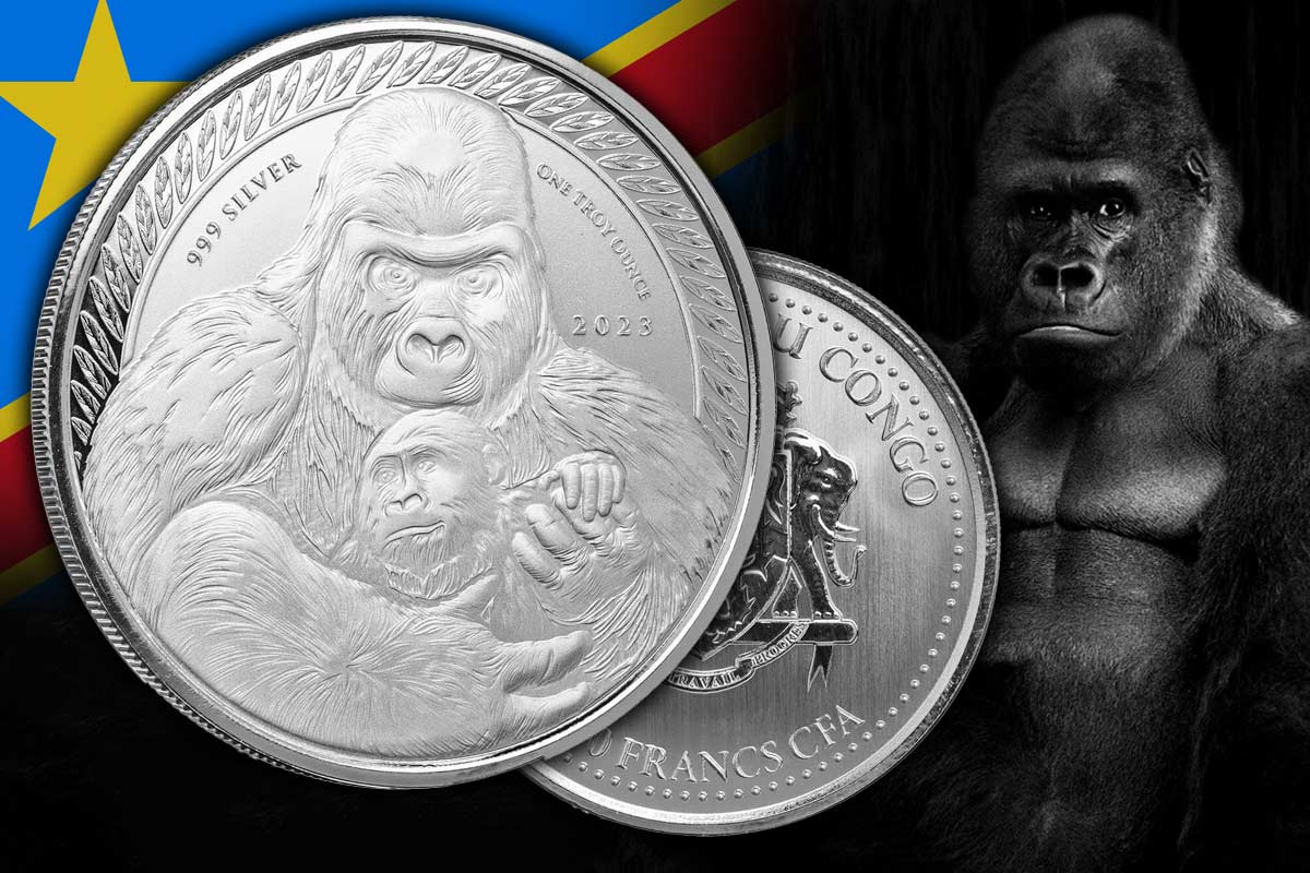 Congo Silverback Gorilla Silber 2023: Neuer Jahrgang jetzt hier!
