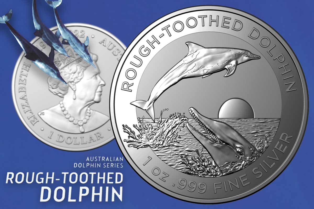 Dolphin-Serie Silber der Royal Australian Mint: Neues Motiv Rough-Toothed Dolphin!