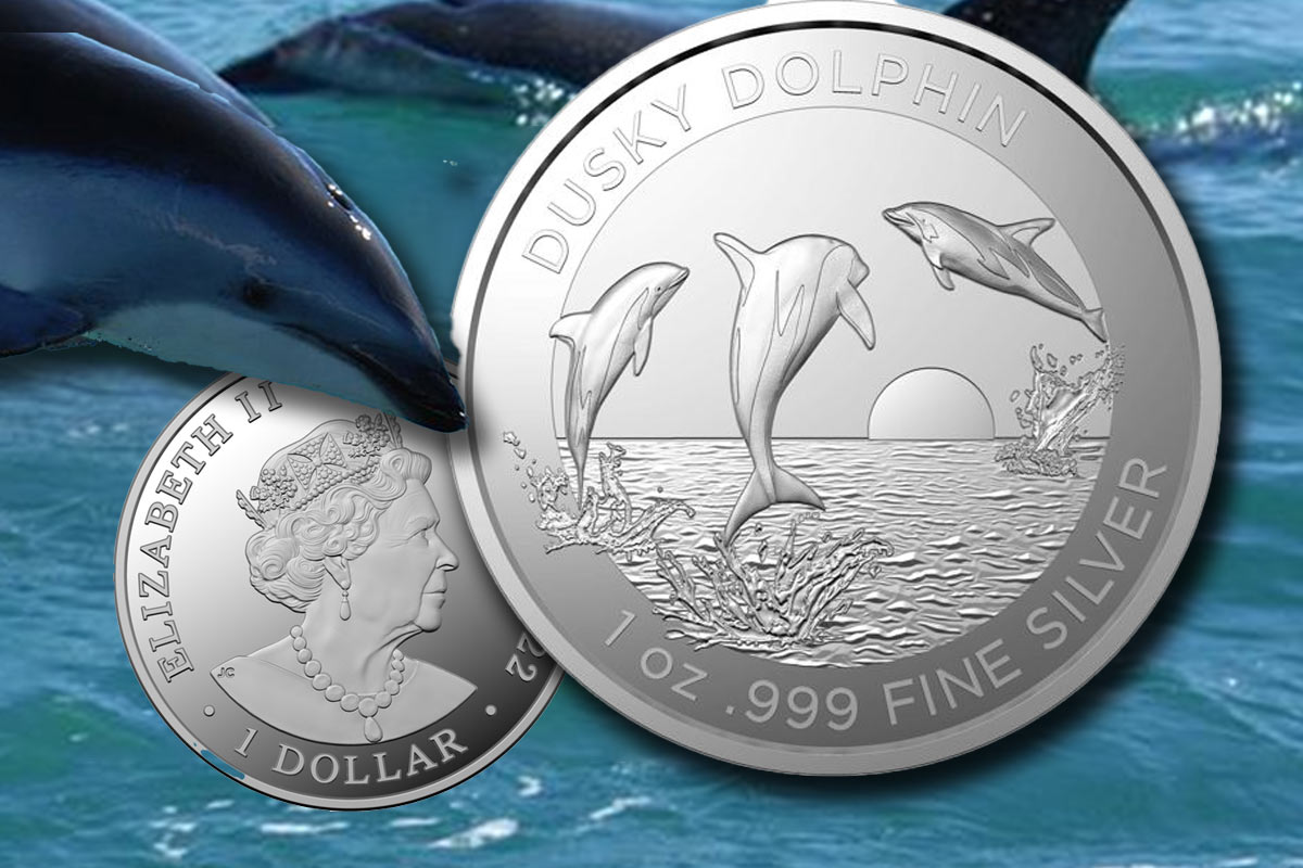 Dolphin Silber (RAM) 2022 - Dusky Dolphin: Jetzt im Preisvergleich!