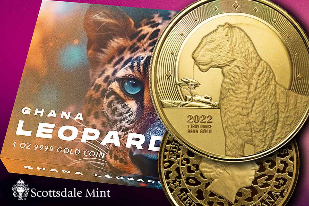 African Leopard Ghana Gold – Jahrgang 2022 jetzt ansehen!