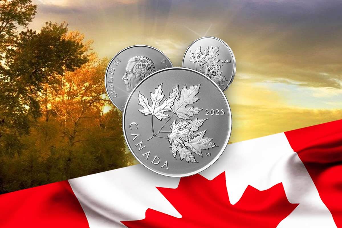 Gleaming Maple Leaves Silber 1/2 oz Reverse Proof - Hier ansehen!
