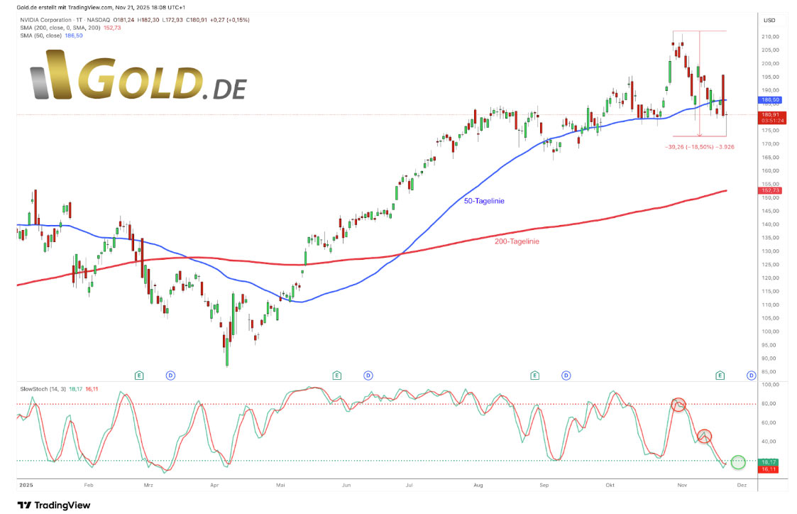 Gold & Silver Defy Crisis: Nvidia Alarm and Bitcoin Crash | GOLDINVEST
