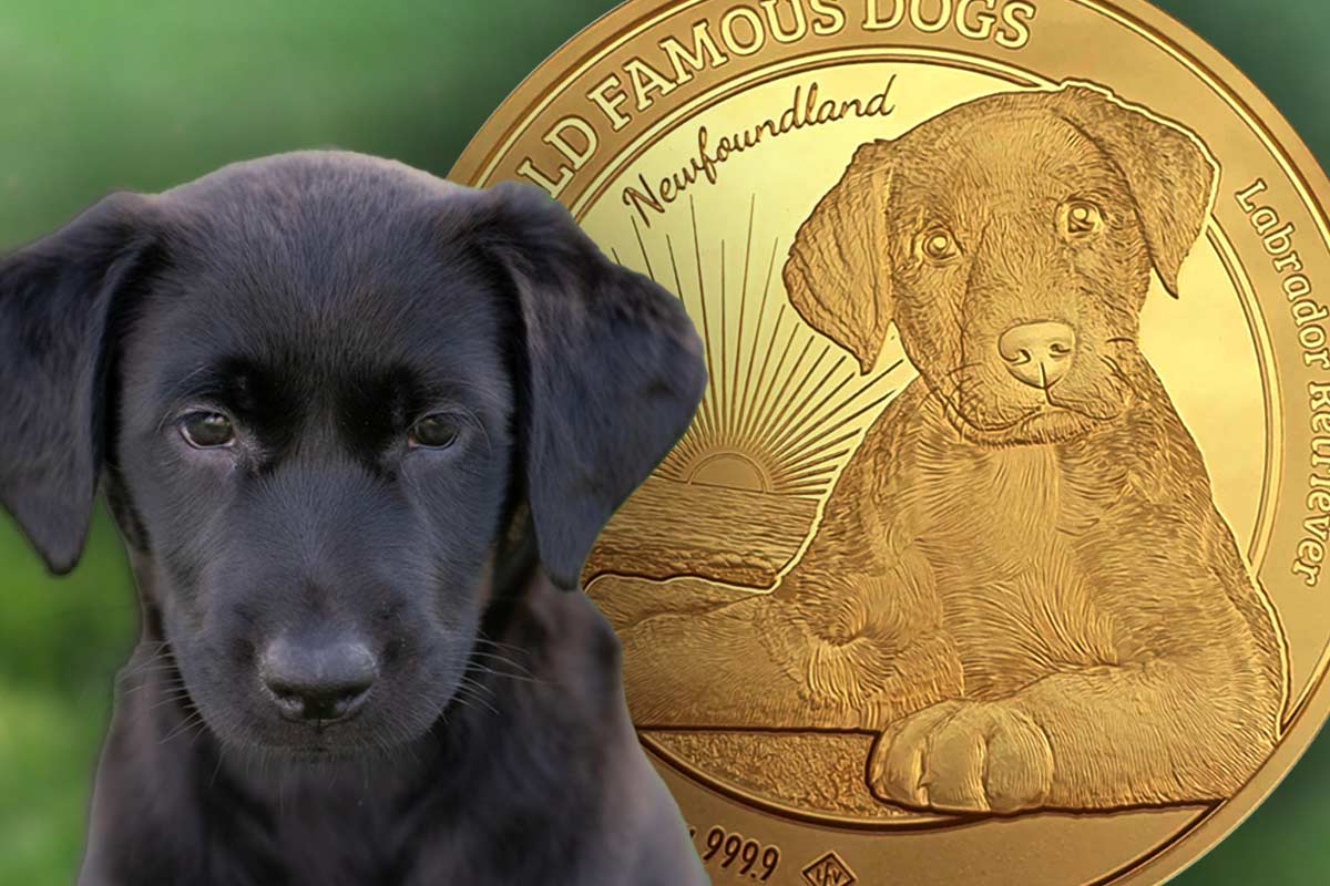 Fellnase jetzt in Gold – World Famous Dogs: Labrador 2023 1 oz - vergleichen!