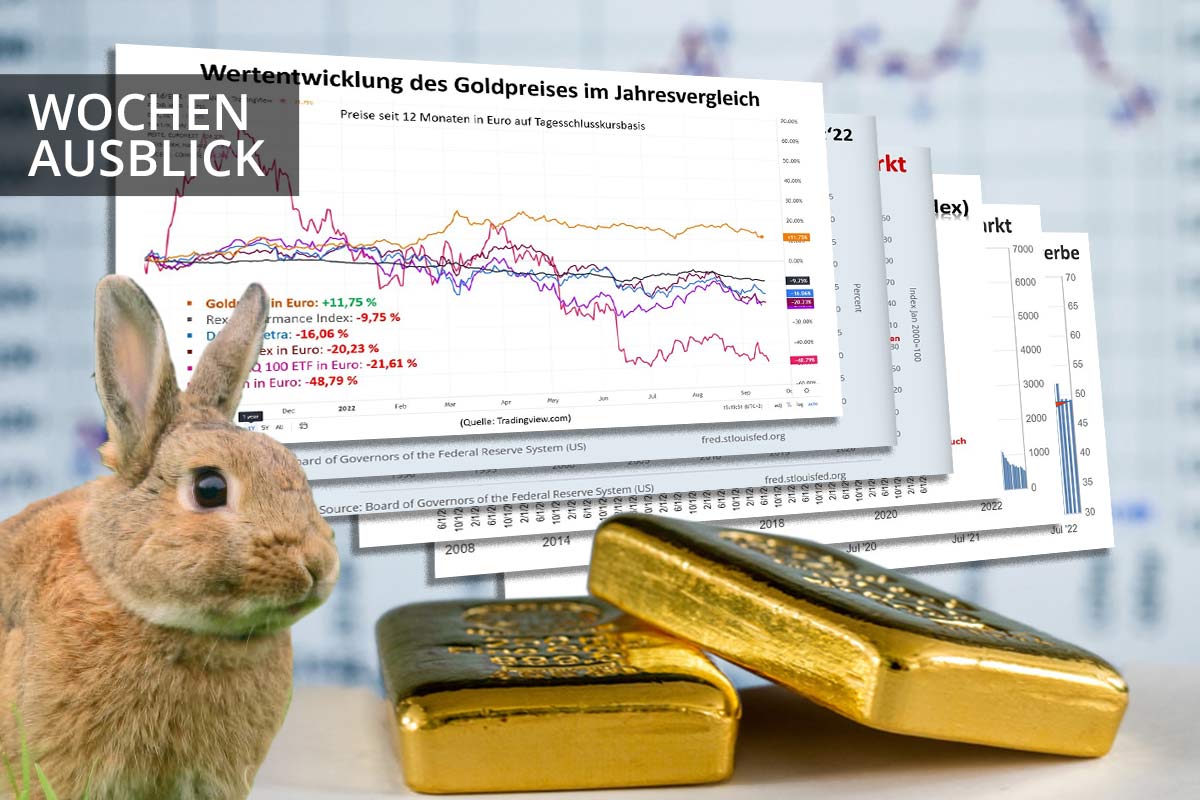 Kaninchen starrt auf Schlange: Goldpreis, Zinsentscheide...