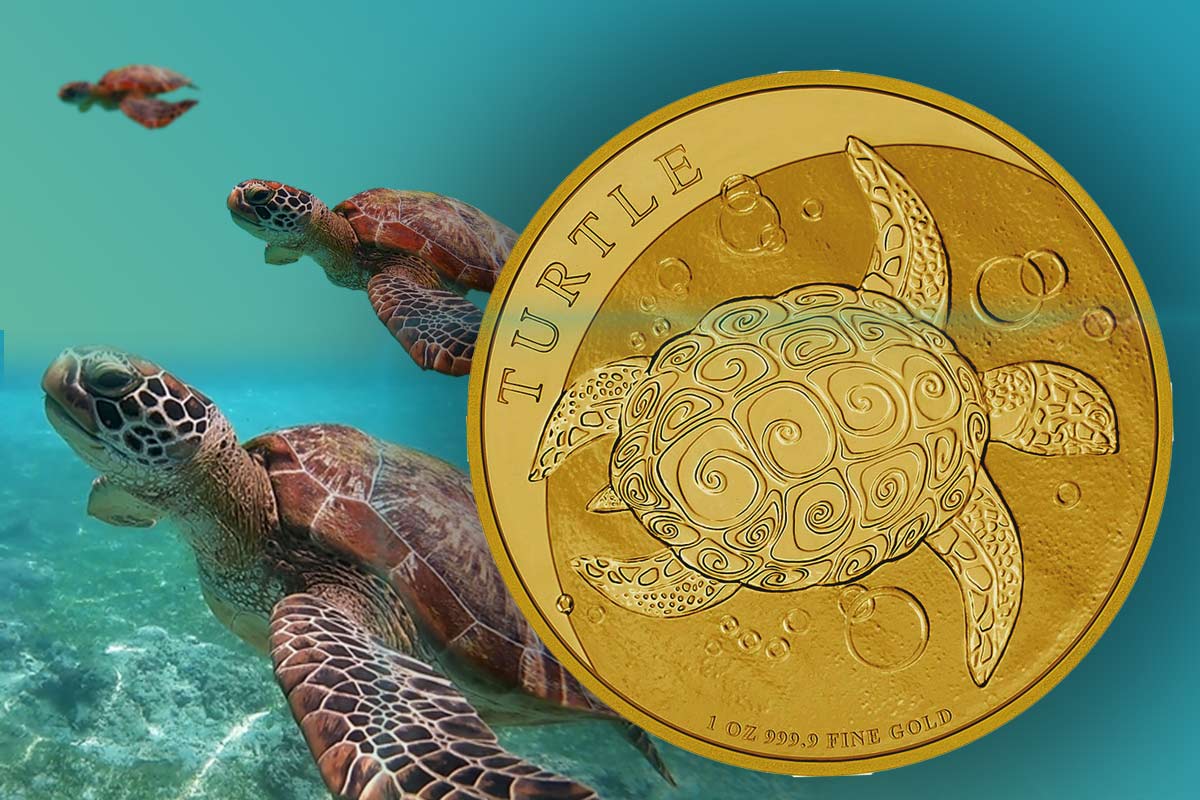 Niue Turtle - Schildkröte in Gold – Jahrgang 2023 jetzt erhältlich