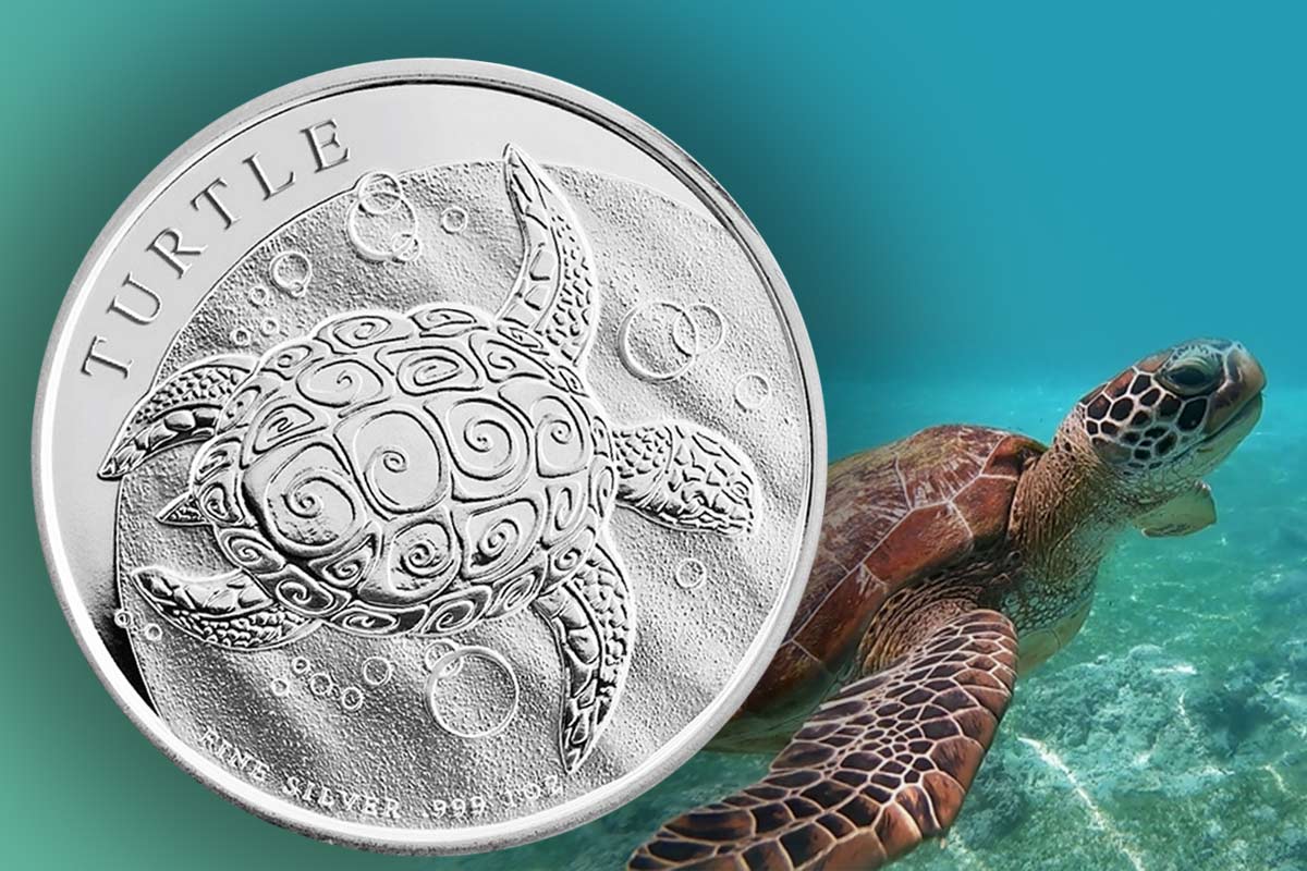 Niue Turtle Schildkröte Silber – Jahrgang 2023 ansehen!