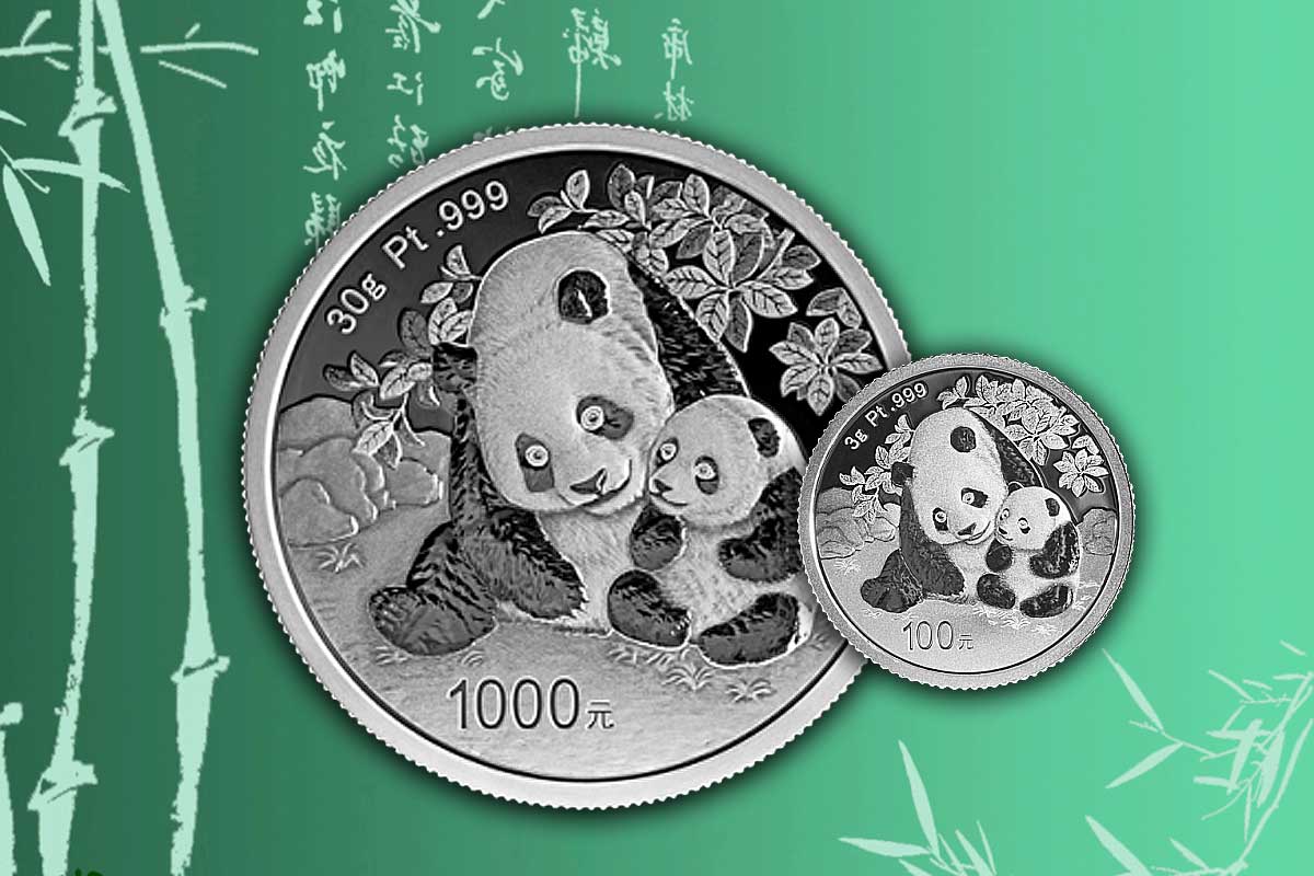 Panda Platin 2024 – Neuer Jahrgang der beliebten Münze aus China in „Proof“