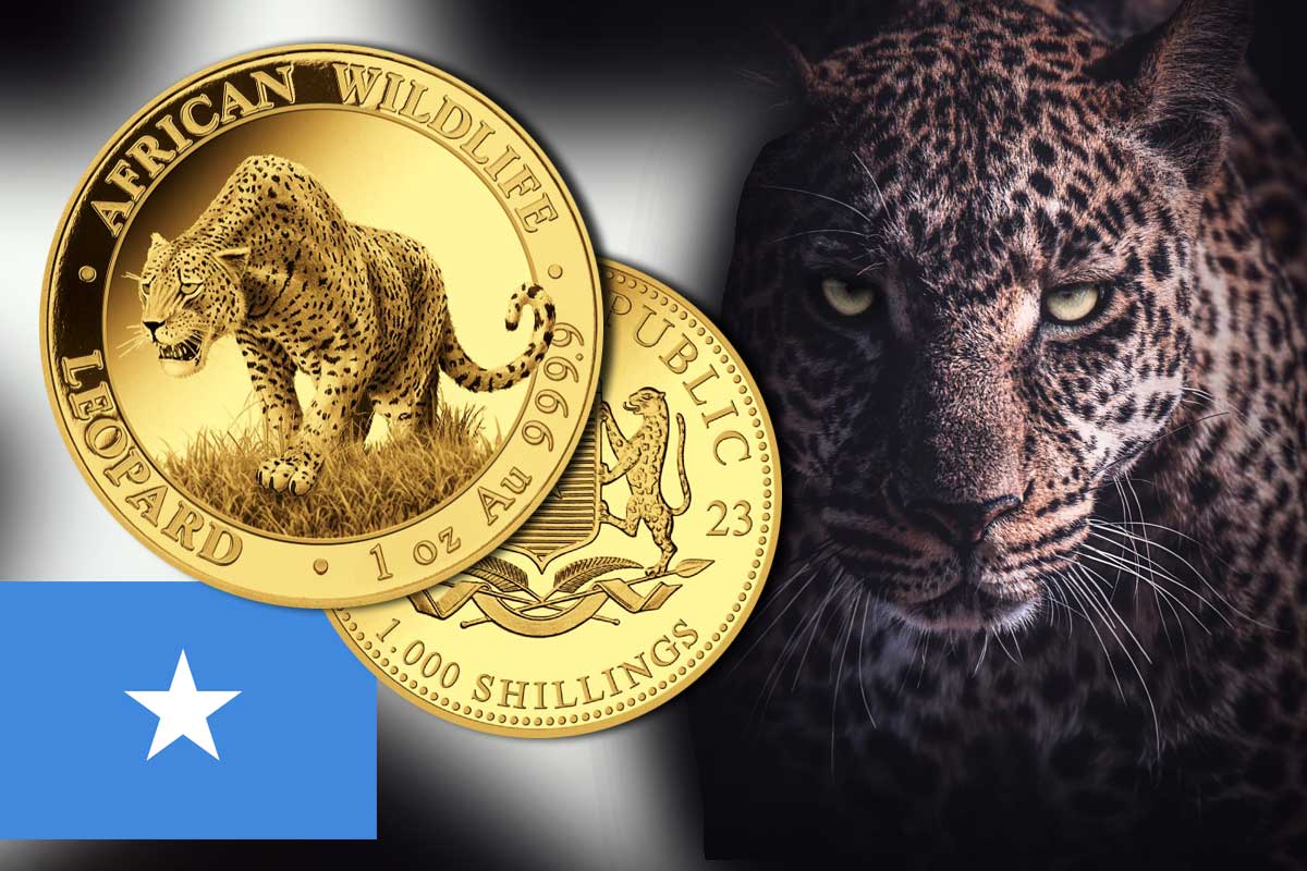 Somalia Leopard Gold 2023- Jetzt das neue Motiv vergleichen!