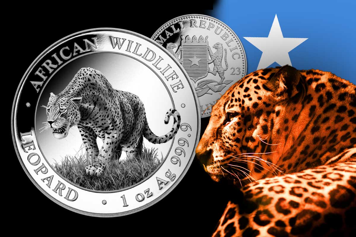 Somalia Leopard Silber 2023 - Neues Motiv: Schön und gefährlich!