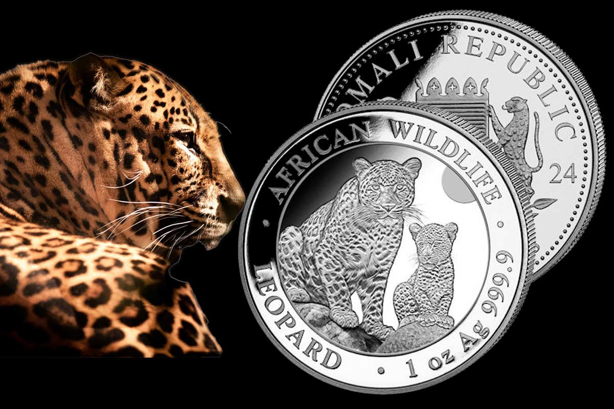Somalia Leopard Silber 2024 – Neuer Jahrgang mit der afrikanischen Großkatze!
