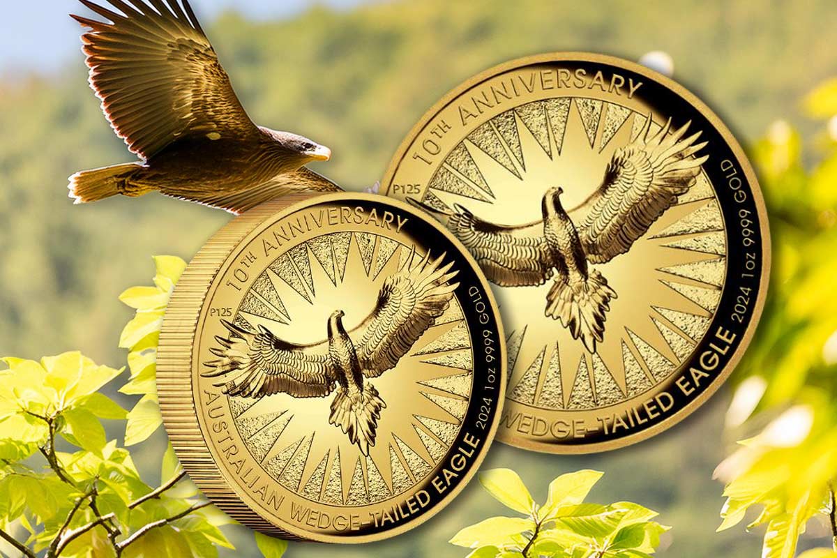 Wedge-Tailed Eagle 2024 Gold Proof High Relief – Jubiläumsmünze mit dem Keilschwanzadler!