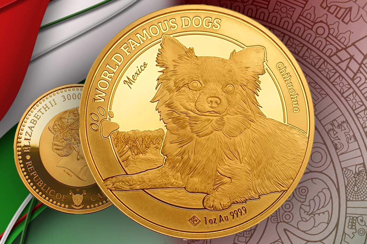 World Famous Dogs Gold – Neues Motiv 2023 Chihuahua - Streng limitiert!