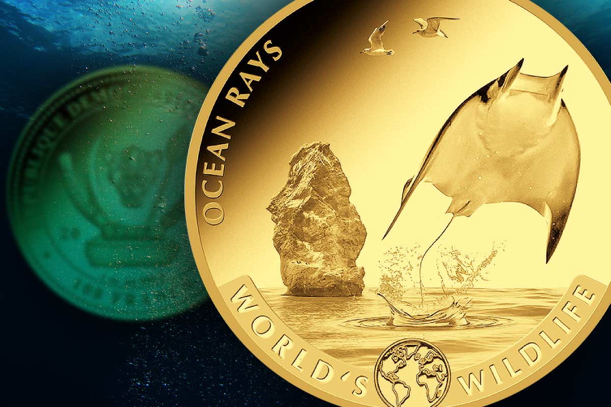 Neues Motiv: Ocean Rays - World‘s Wildlife Kongo Gold jetzt ansehen!