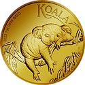 Koala Motiv 2022