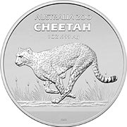 2021 Cheetah
