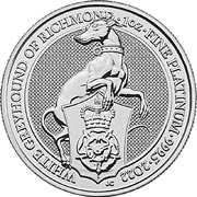 2022 White Greyhound of Richmond