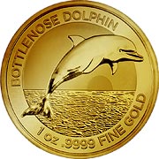2019 Bottlenose Dolphin