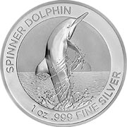 2020 Spinner Dolphin