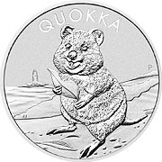 Quokka 2020