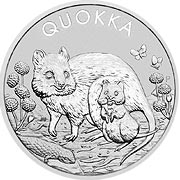 Quokka 2021