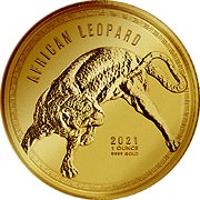 African Leopard Ghana 2021