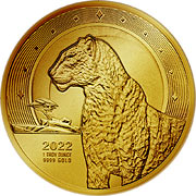 African Leopard Ghana 2022