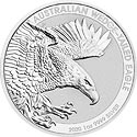 Wedge Tailed Eagle 2020