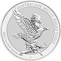 Wedge-tailed Eagle Motiv 2023