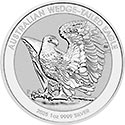 Wedge-tailed Eagle Motiv 2025