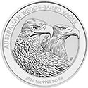 Wedge Tailed Eagle 2026