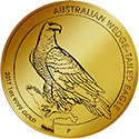 Wedge-Tailed Eagle Motiv 2017