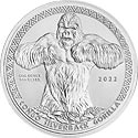 Congo Silverback Gorilla Motiv 2022