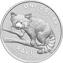 Panda klein australisch