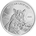 African Leopard Ghana Motiv 2020